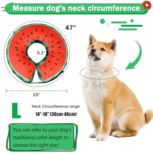 Cneo Animal Recovery Collar Cone in L（neck 14"-18"）, Watermelon