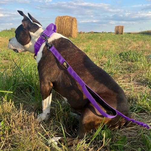 ADITYNA Leash in 6ft - 7.5ft, Purple