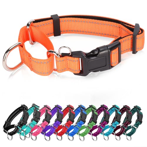GDLKPS Animal Collar in XS:3/4" Wide for 11.5"-13.5" Neck, Orange