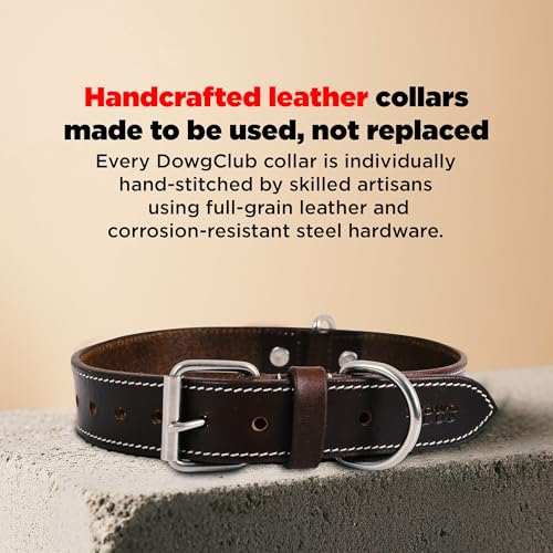 DowgClub Animal Collar in S (11"-14"), Rustic Brown