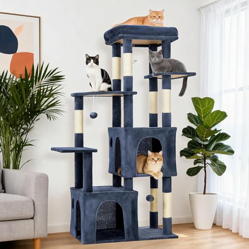 OUTLANE Pet Activity Structure in Blue, Blue