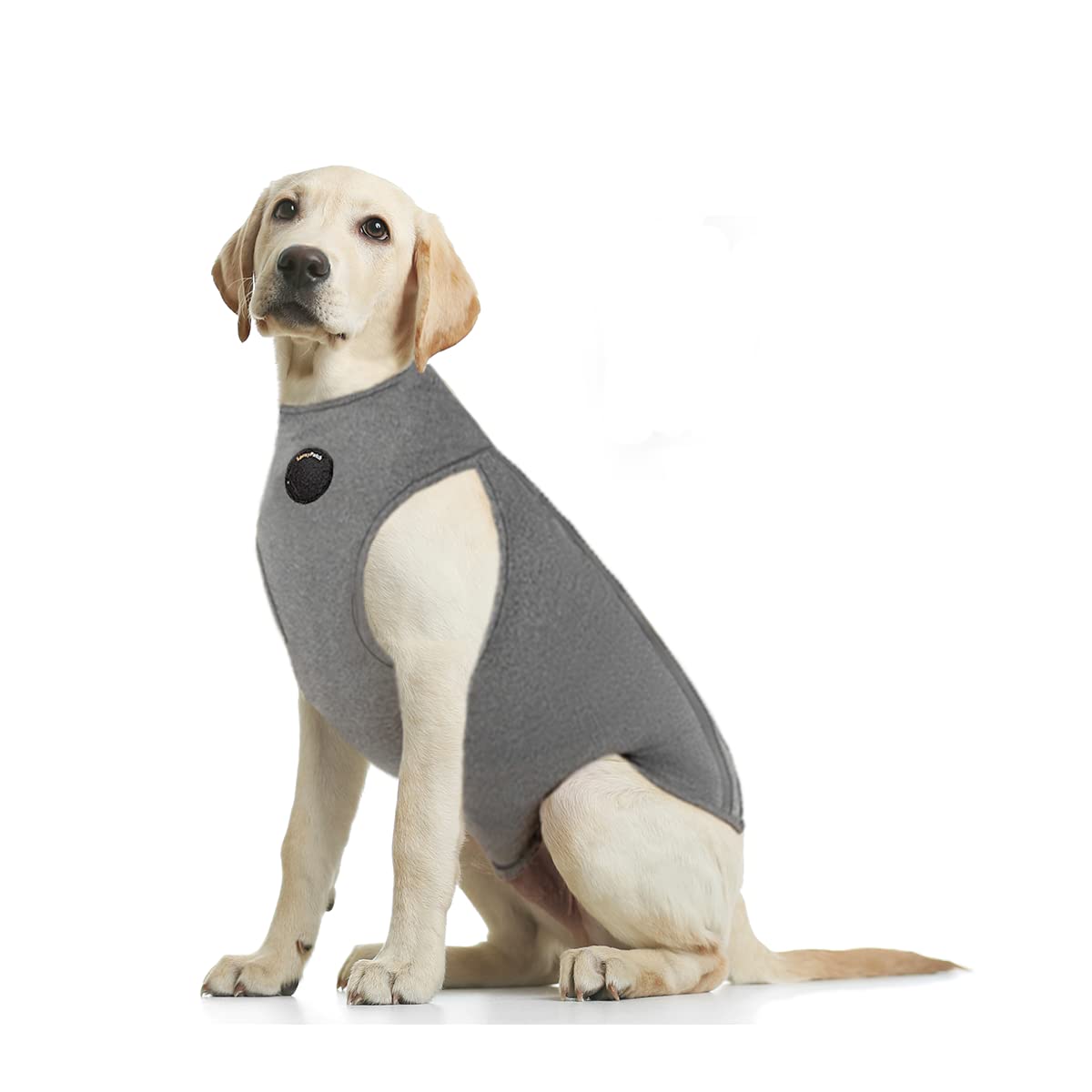 NeoAlly Pet Apparel in X-Small, Grey