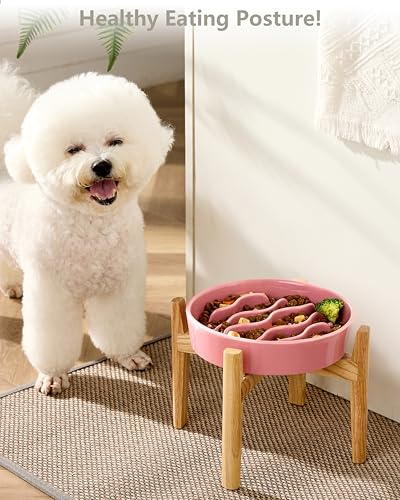 MOPANG Pet Feeder in 6 Inches, Salmon Pink + Stand