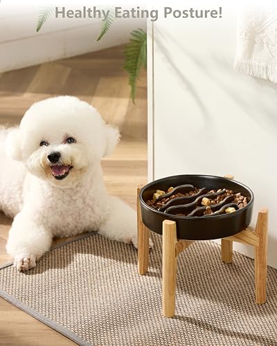 MOPANG Pet Feeder in 6 Inches, Black + Stand