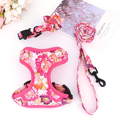 Beirui Animal Harness in XXS:Fit 2-6 lbs, Pink-2