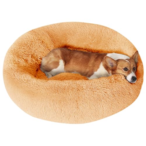JOLLYVOGUE Pet Bed Mat in 27", Orange