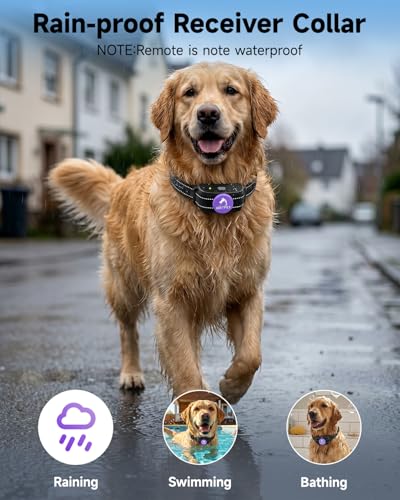 PATPET Animal Collar in 1 Collar, Purple