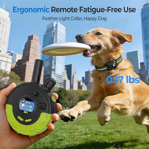 RPZ Animal Collar in 1 Receiver, Green
