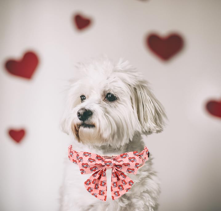 Unique style paws Animal Collar in XS, mom love-bowtie