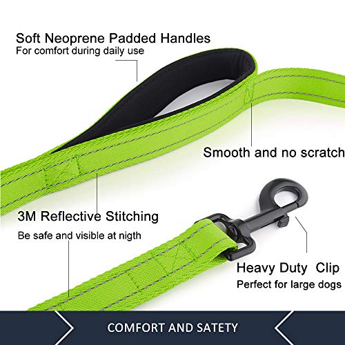 PLUTUS PET Leash in 4 FT, Green