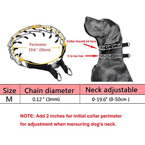Aheasoun Animal Collar in Medium,3mm,19.6-In, with Buckle, Silver