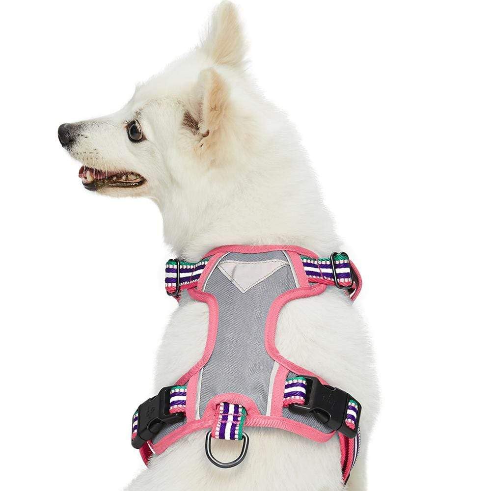 Blueberry Pet Animal Harness in Small, Pink, Emerald and Orchid
