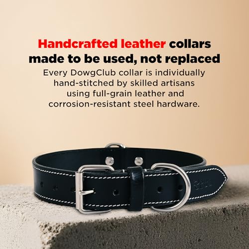 DowgClub Animal Collar in S (11"-14"), Rich Black