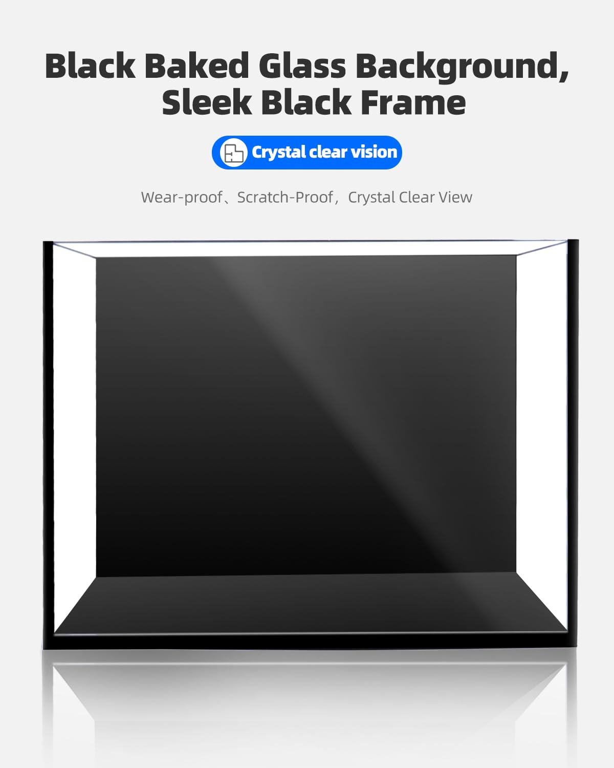 minilake Vivarium in 5 Gallon, Black