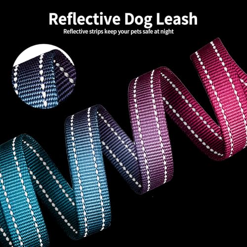 kazazoo Leash in Adjustable (5.5ft to 8.5ft), Gradient Pink