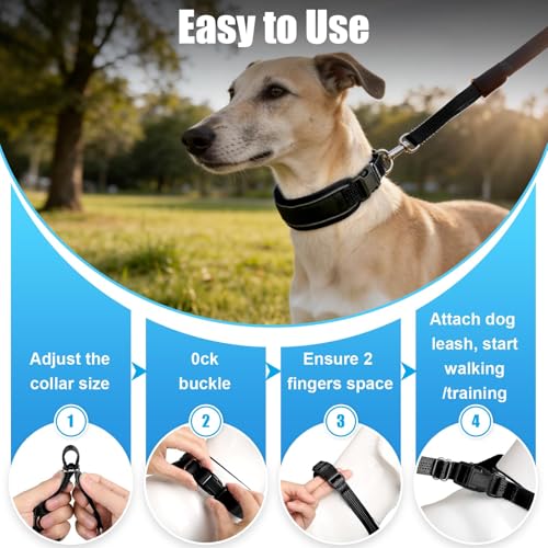 NozlaID Animal Collar in M(15"-19.5"), Black
