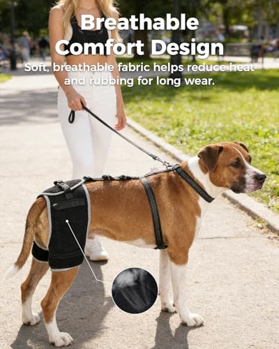 LISPOO Pet Supplies in M, Black