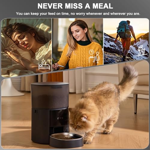 MZZ Pet Feeder in Black