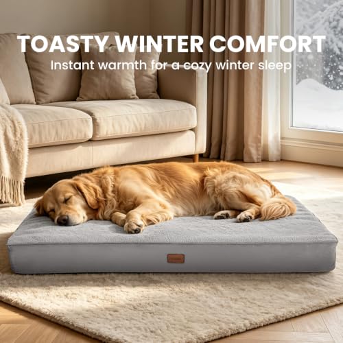 OhGeni Pet Bed Mat in 44" x 32"x 3.9" W, 01-Gray