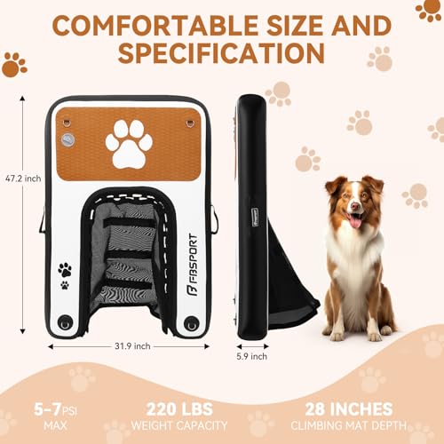 FBSPORT Ramp in 47"*32"*6", Black White