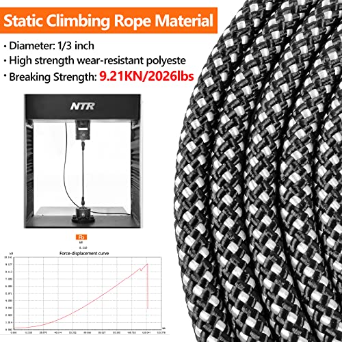 NTR Leash in 6ft*1/2", Black