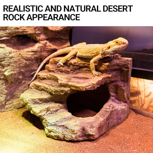 REPTI ZOO Animal Shelter in Small, Brown