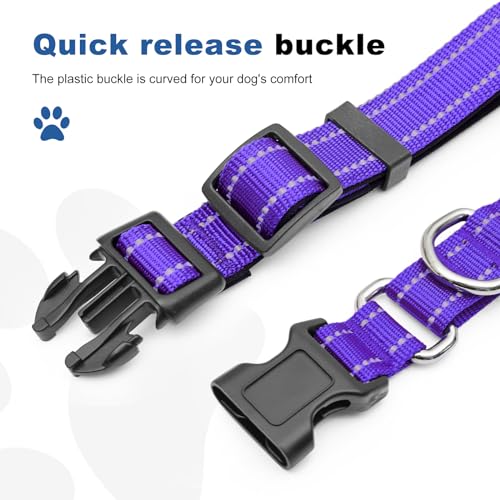 GDLKPS Animal Collar in XS:3/4" Wide for 11.5"-13.5" Neck, Purple