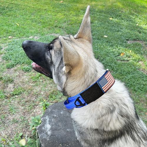 DEZIZEUSK9 Animal Collar in 16-25 INCH, BLACK-COBVEL2