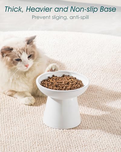 vancasso Pet Feeder in 2 Pack-Food & Water Bowls, White