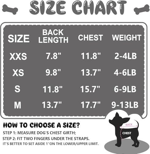 Generic Pet Apparel in Medium, black