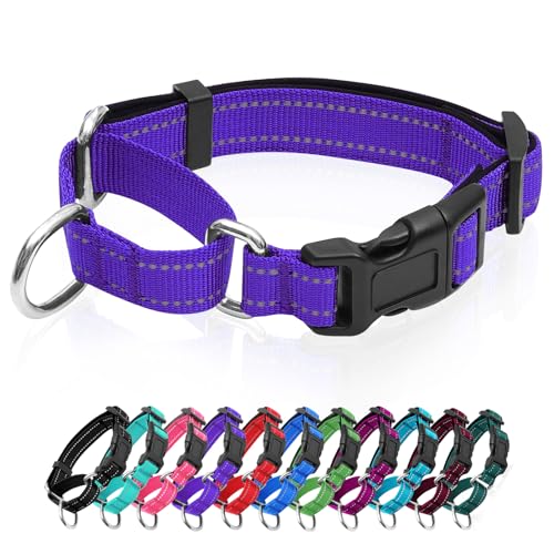GDLKPS Animal Collar in XS:3/4" Wide for 11.5"-13.5" Neck, Purple