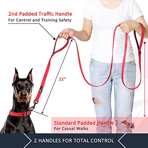PLUTUS PET Leash in 4 FT, Red