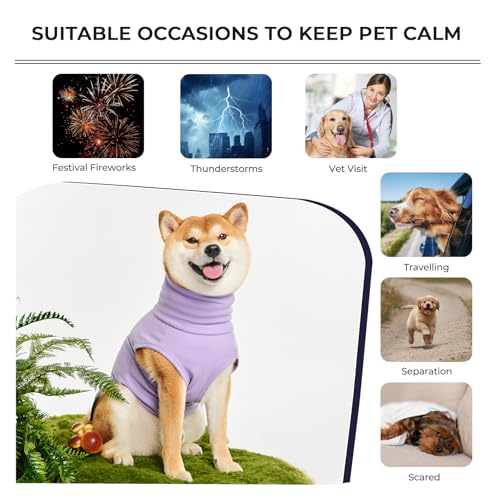 Haloumoning Pet Apparel in X-Small, Purple