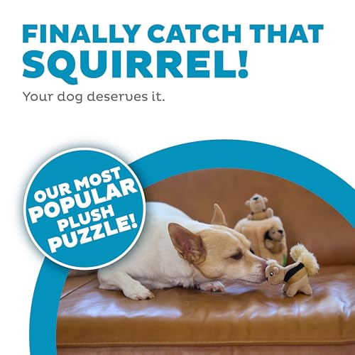 Outward Hound Pet Toy in Small (Pack of 1), Squirrel Small