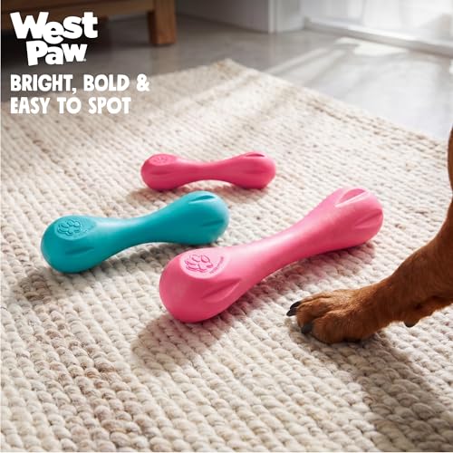 WEST PAW Pet Toy in X-Small, Teal