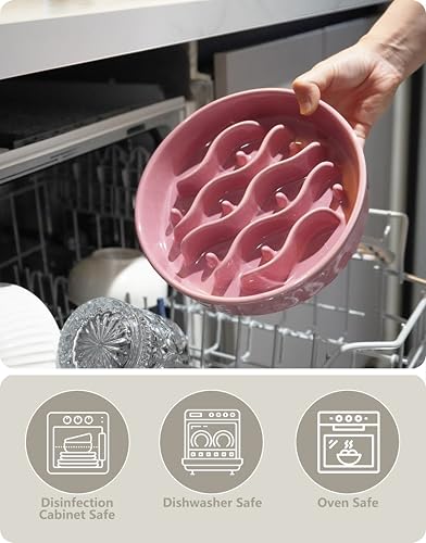 MOPANG Pet Feeder in 6 Inches, Salmon Pink + Stand