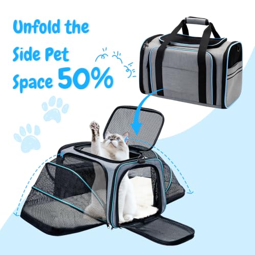 Srinlon ㅤ Animal Carrier in 18.0"L x 11.0"W x 11.0"H, Blue