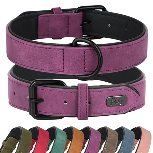 Didog Animal Collar in M: Fit Neck 11-14"(10-20 lbs), Purple
