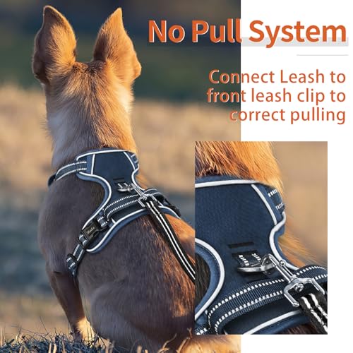 HEELE Animal Harness in S, Royal Blue