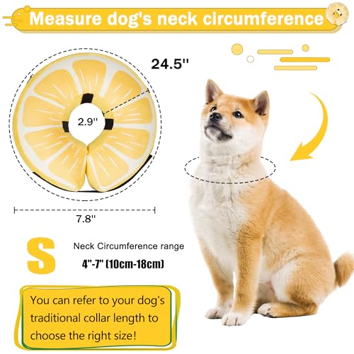 Cneo Animal Recovery Collar Cone in S（neck 4"-7"）, Lemon