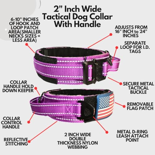 DEZIZEUSK9 Animal Collar in 16-25 INCH, PURPLE-COBVEL2
