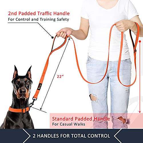 PLUTUS PET Leash in 4 FT, Orange