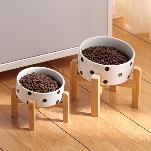 DJJJOOYS Pet Feeder in Slanted Small Dog Bowl, Black Dot