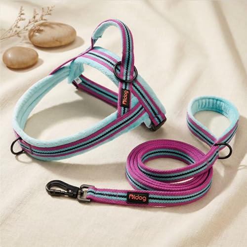 Didog Leash in 3/4''x 6 FT, Mixed-Blue