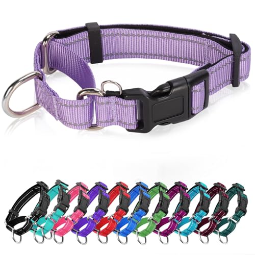 GDLKPS Animal Collar in S:1"Wind for 12.5"-15.5"Neck, Lavender