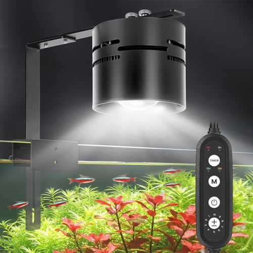 AQQA Electric Light in up to 48 Inches, Black