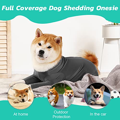 Etdane Pet Apparel in X-Small, Grey