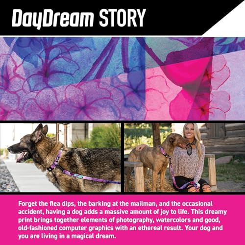 Wolfgang Man & Beast Animal Harness in Small (5/8 Inch x 12-18 Inch), DayDream Print