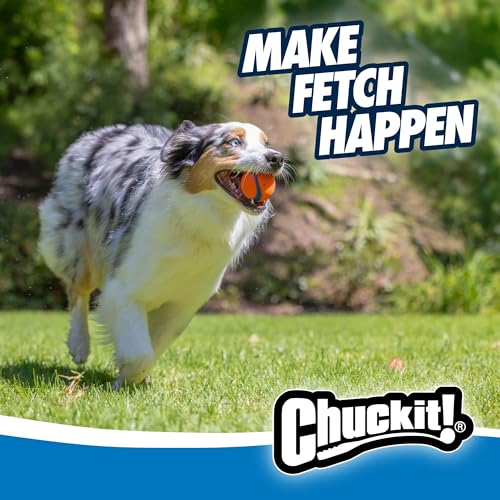 Chuckit! Pet Toy in Medium, Ultra