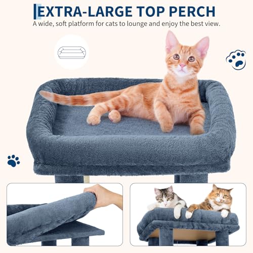 OUTLANE Pet Activity Structure in Light blue, Light Blue